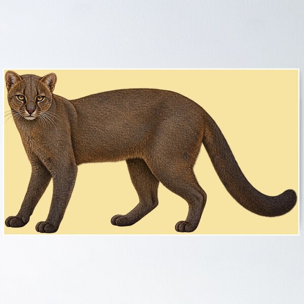 Item preview, Jaguarundi designed and sold by RAMIRELLI.