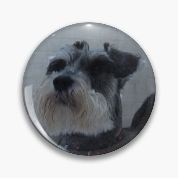 Artikelvorschau, Schnauzer im Schnee entworfen und verkauft von Handmade by Hawthorne .