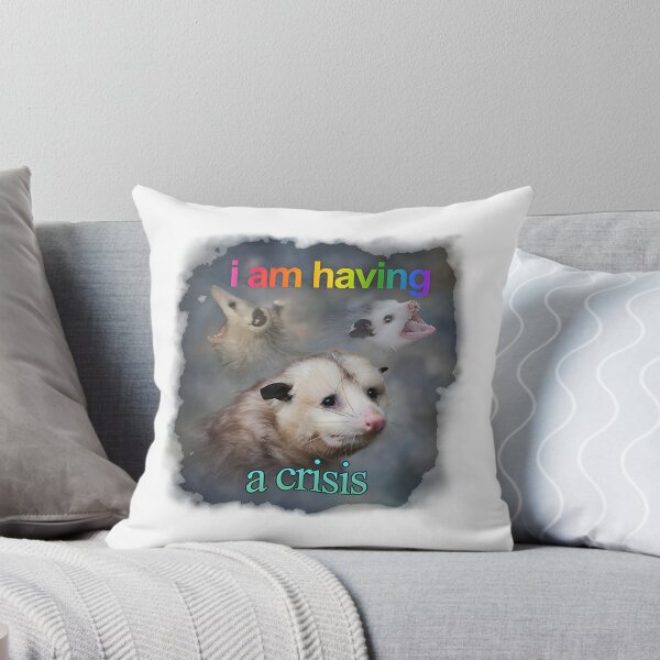 Aperçu de l'œuvre Je suis en pleine crise - Illustration humoristique avec un opossum pour soulager le stress créée et vendue par SimTaz.