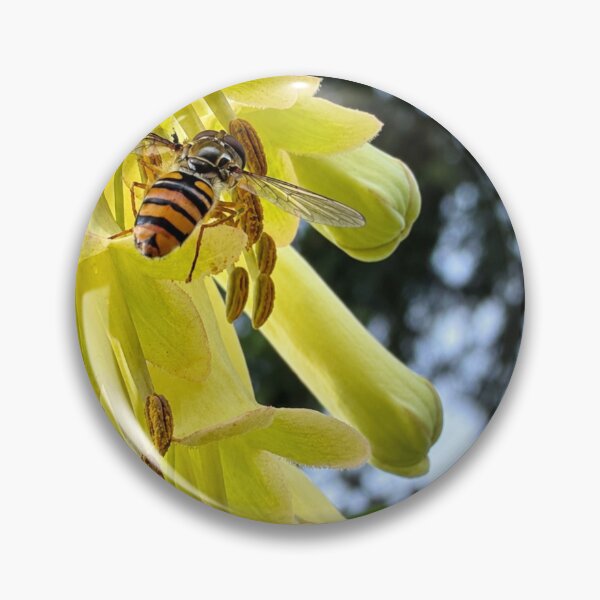 Item preview, Garden Life.  Insect gathering pollen designed and sold by Astute-Artio-Photography.