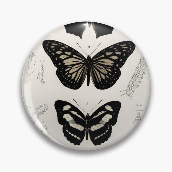 Item preview, Collection of butterflies illustrated by Charles Dessalines D' Orbigny (1806-1876) designed and sold by AngyDesigns49.