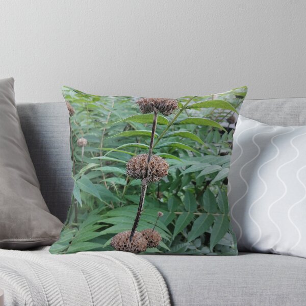 Item preview, Dried Seed Heads Among Lush Green Leaves designed and sold by PhuongVoArt.