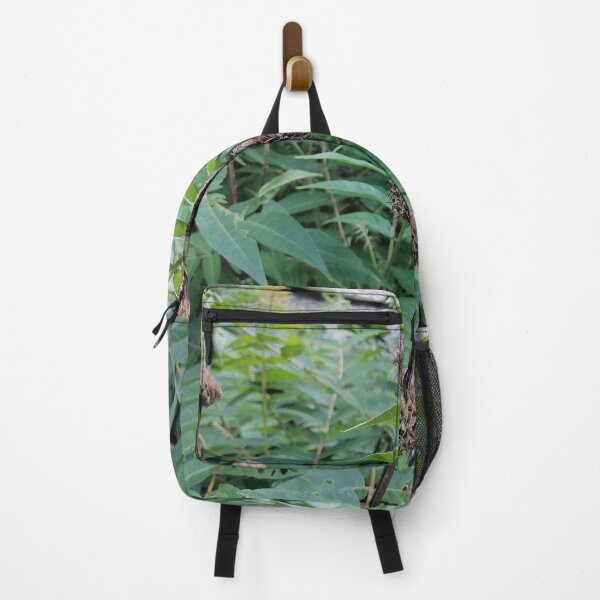 Item preview, Dried Seed Heads Among Lush Green Leaves designed and sold by PhuongVoArt.
