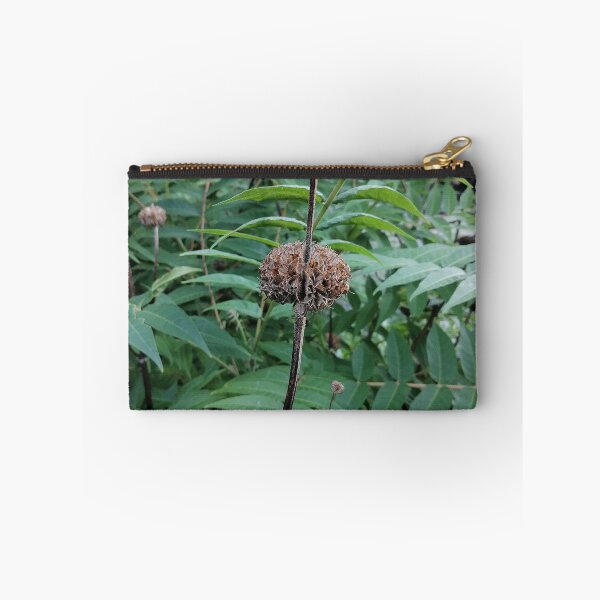 Item preview, Dried Seed Heads Among Lush Green Leaves designed and sold by PhuongVoArt.