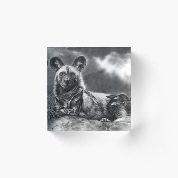 Darkened Soul Acrylic Block
