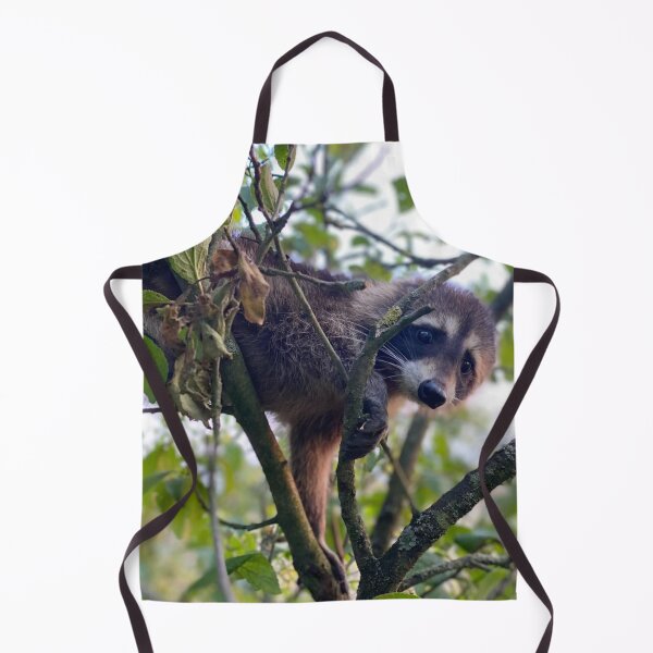 Item preview, Cute Trash Panda Raccoon in the Tree-Original Wildlife Photography designed and sold by RadiVector Studio.