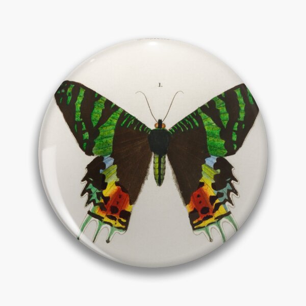 Item preview, Madagascan Sunset Moth (Urania Riphaeus) illustrated by Charles Dessalines D' Orbigny (1806-1876) designed and sold by AngyDesigns49.