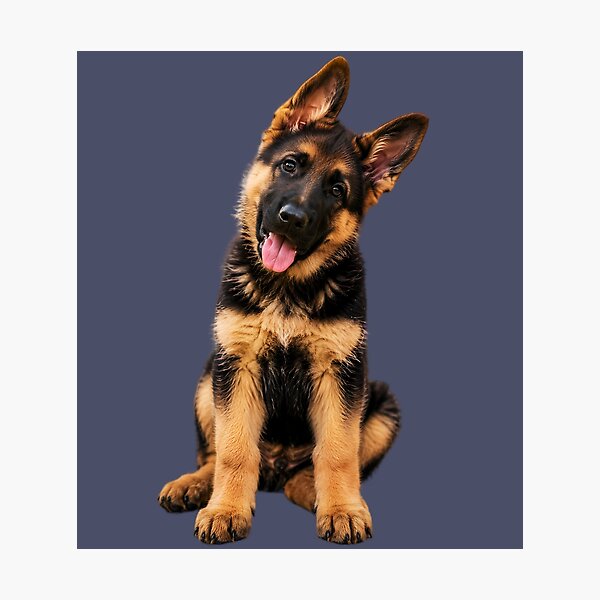 Item preview, Cute German Shepherd Puppy - Realistic Dog Art designed and sold by Dakson Design - Fantasy Art.