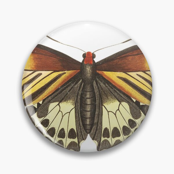 Item preview, Brown butterfly illustration from The Naturalist's Miscellany (1789-1813) by George Shaw (1751-1813) designed and sold by AngyDesigns49.