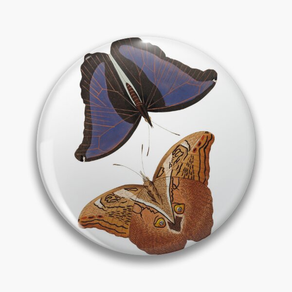 Item preview, Automedon giant owl butterflies illustration from The Naturalist's Miscellany (1789-1813) by George Shaw (1751-1813) designed and sold by AngyDesigns49.