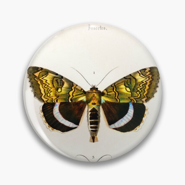 Item preview, Moths illustrated by Charles Dessalines D' Orbigny (1806-1876)  designed and sold by AngyDesigns49.