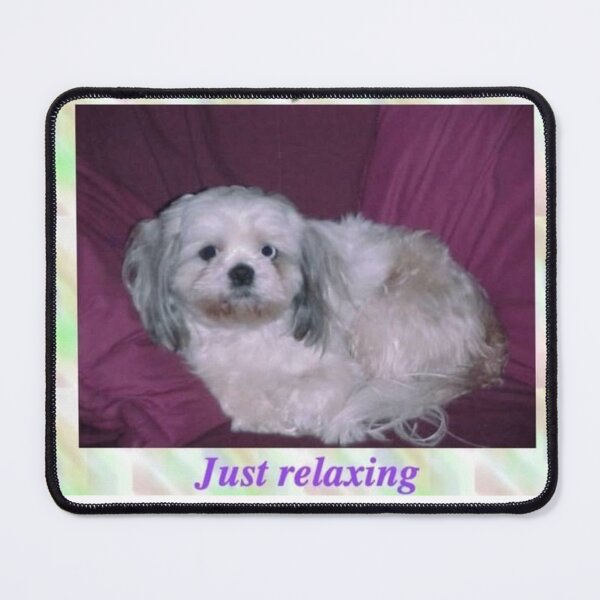 Item preview, just relaxing dog meme designed and sold by CatsCritterDesigns .