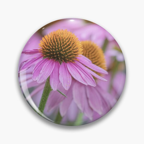 Item preview, Blooming Purple Coneflowers designed and sold by PhotoArt by Joan Carroll.