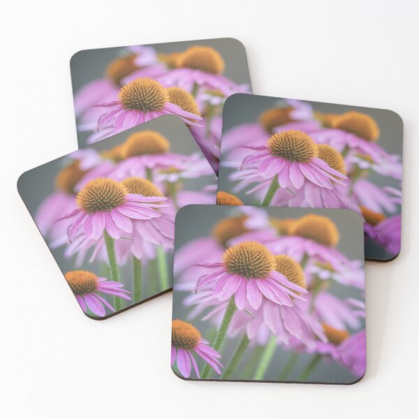 Item preview, Blooming Purple Coneflowers designed and sold by PhotoArt by Joan Carroll.