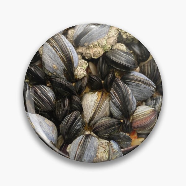 Item preview, Mussel Beach designed and sold by moonhare101.
