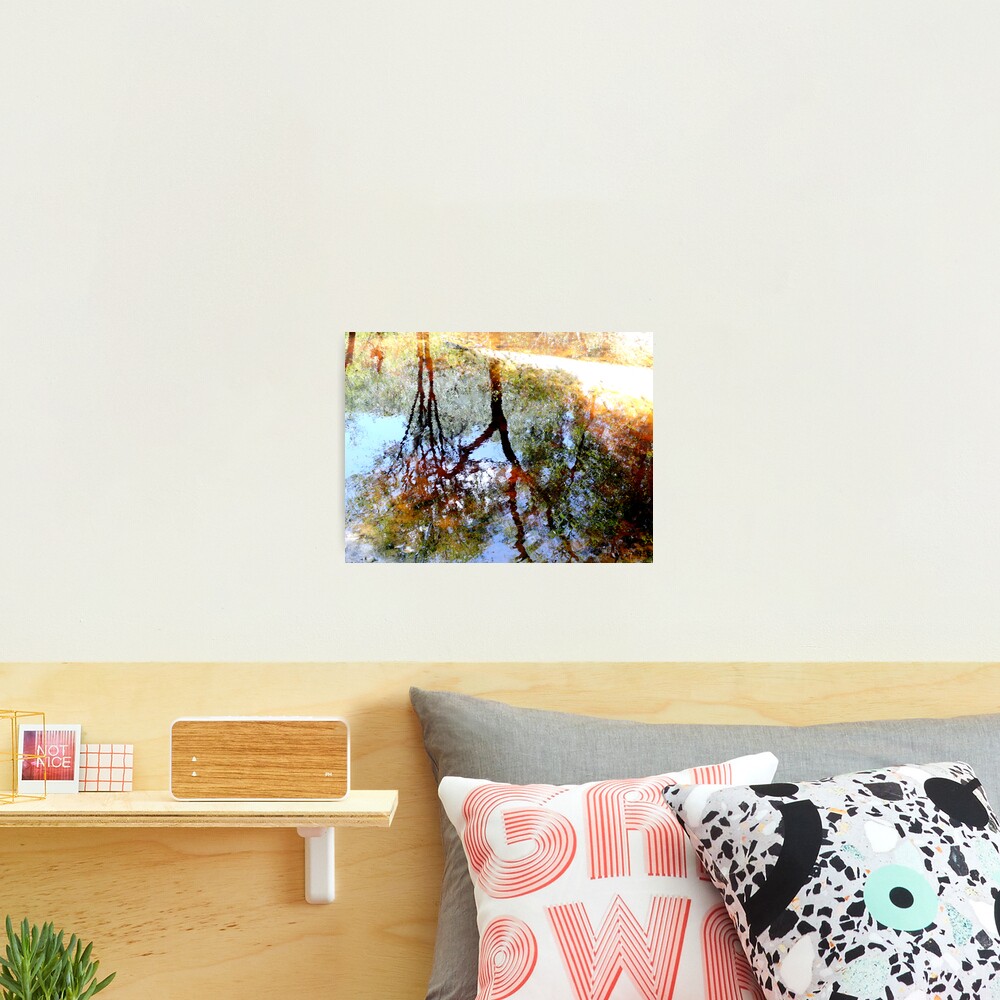 Nature's Mirror Photographic Print