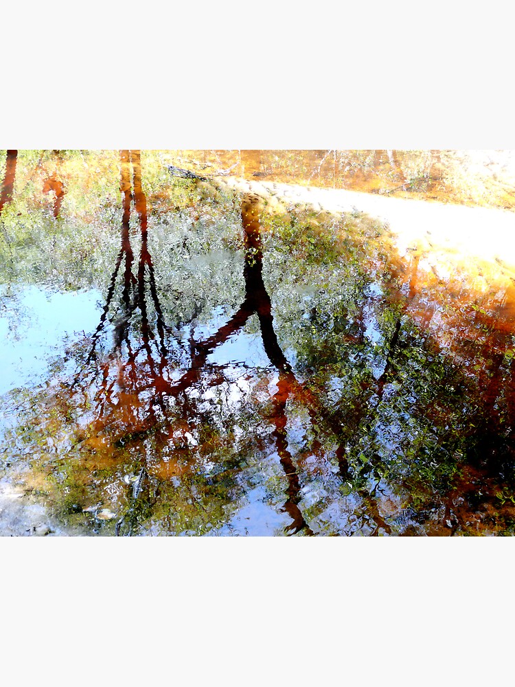 Nature's Mirror by KatarinaSilva