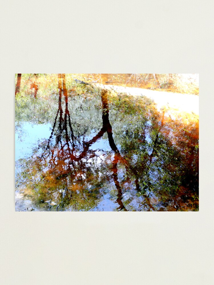 Alternate view of Nature's Mirror Photographic Print