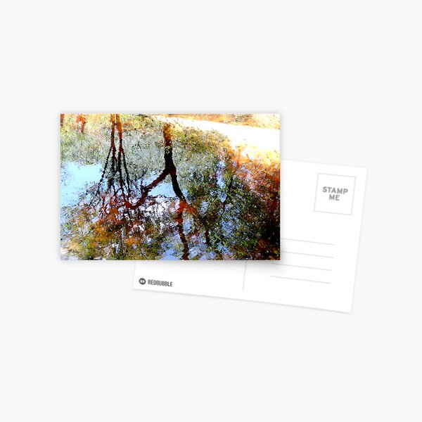 Nature's Mirror Postcard