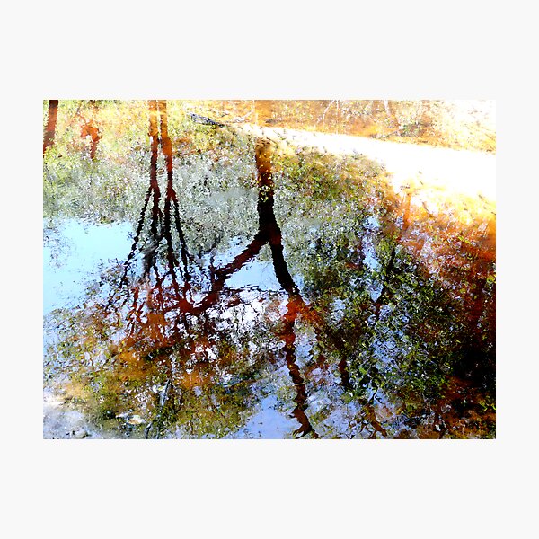 Nature's Mirror Photographic Print