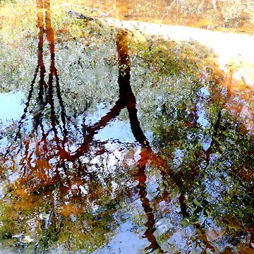 Artwork thumbnail, Nature's Mirror by KatarinaSilva
