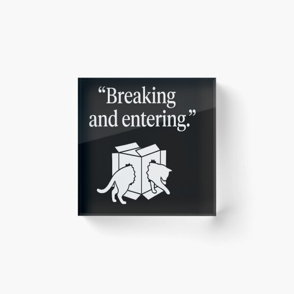 Item preview, Breaking And Entering Funny Cat Cardboard Box Meme Graphic designed and sold by kanjxtan.