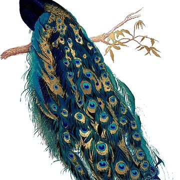 Artwork thumbnail, Vintage Peacock by PixDezines