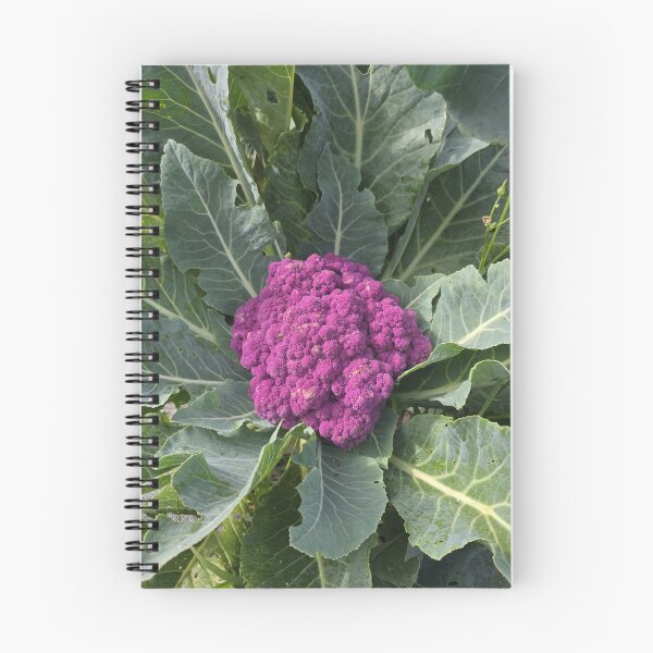 Item preview, Homegrown Purple Cauliflower designed and sold by BrizzlePix.