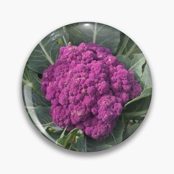 Item preview, Homegrown Purple Cauliflower designed and sold by BrizzlePix.