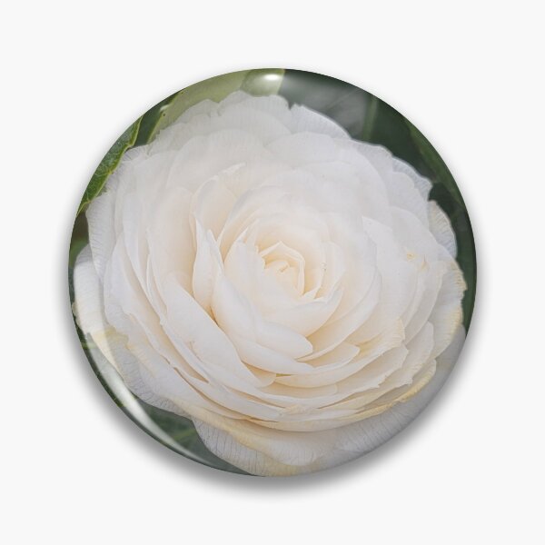 Item preview, Beautiful white camelia bloom designed and sold by BrizzlePix.