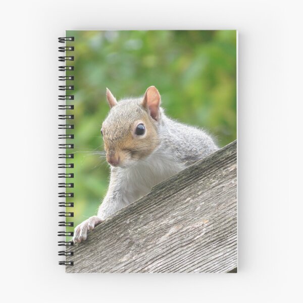 Item preview, Curious Squirrel Portrait: Nature's Charm designed and sold by Astute-Artio-Photography.