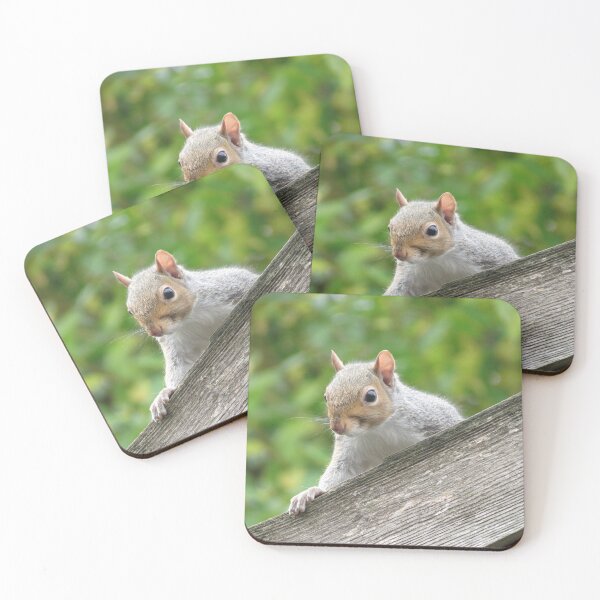 Item preview, Curious Squirrel Portrait: Nature's Charm designed and sold by Astute-Artio-Photography.