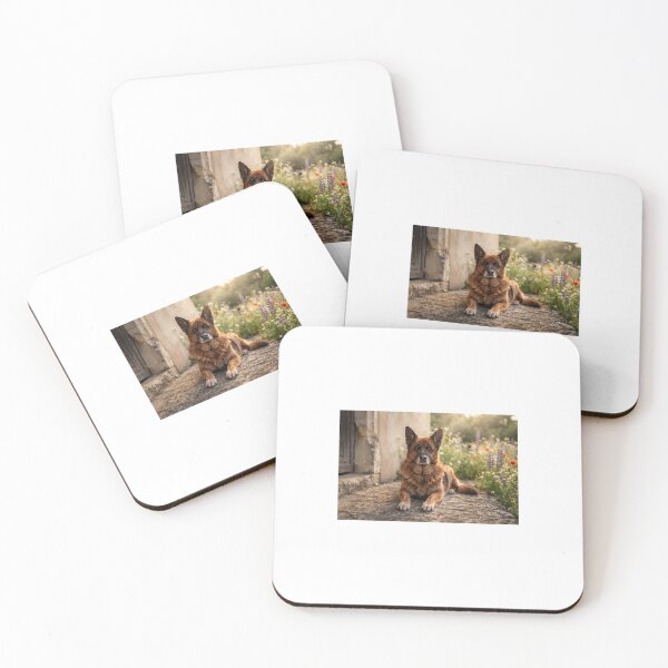 Item preview, beautiful designed and sold by Calemsamazonia.