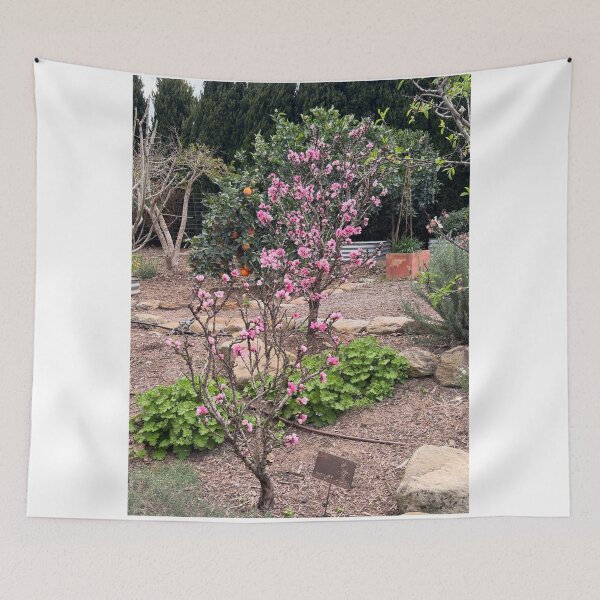 Item preview, Paris Grupo Hinode fCafé Y Croissants designed and sold by mauroroberto.