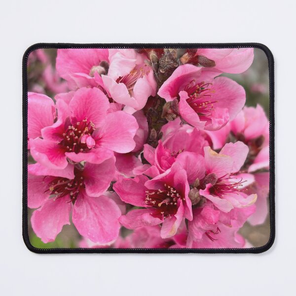 Item preview, Vibrant Giant Abstract Harmony designed and sold by cagizji.