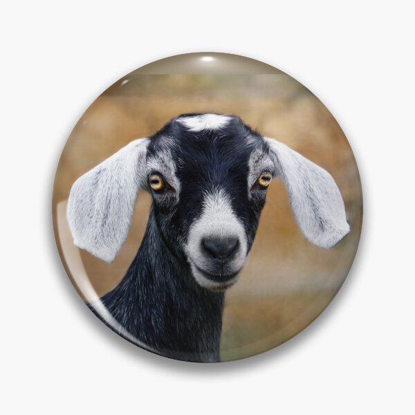 Item preview, Close-up of a Curious Goat designed and sold by Savannah Gibbs.