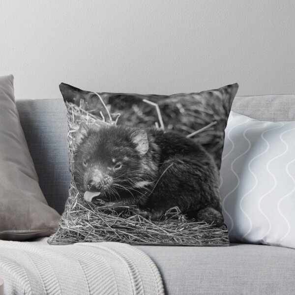 Item preview, Devil designed and sold by Paul Campbell  Photography.