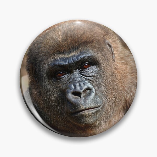 Item preview, Gorilla  designed and sold by Savannah Gibbs.