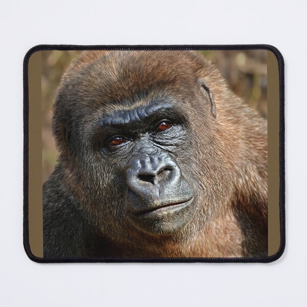 Item preview, Gorilla  designed and sold by Savannah Gibbs.