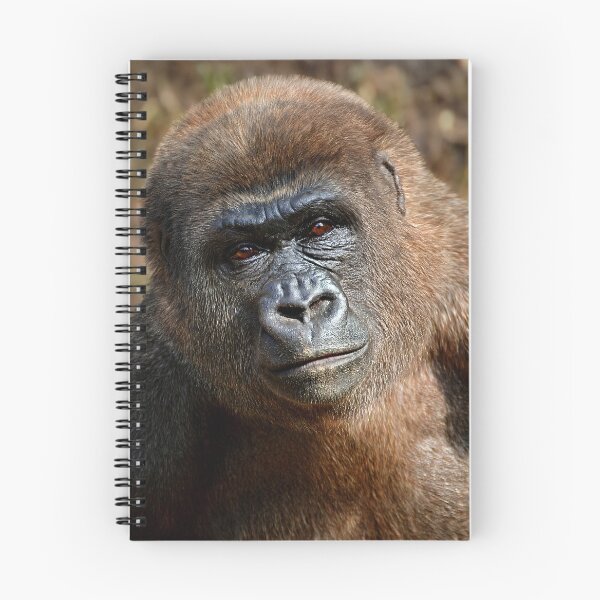 Item preview, Gorilla  designed and sold by Savannah Gibbs.