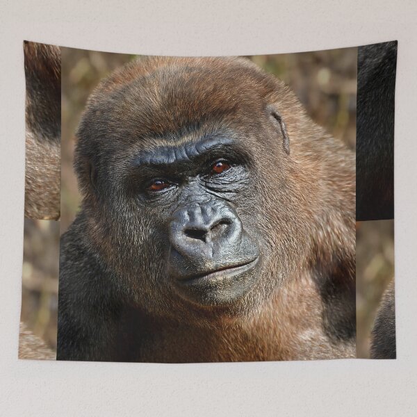 Item preview, Gorilla  designed and sold by Savannah Gibbs.