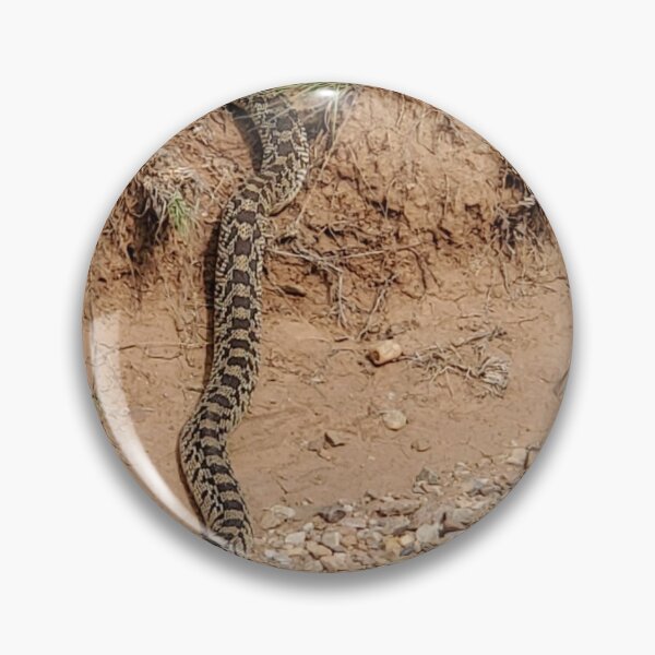 Item preview, Bullsnake Crossing an Arroyo — New Mexico Desert Wildlife designed and sold by RavinEnd.