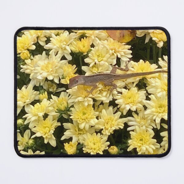 Item preview, Brown anole lizard on yellow mums  designed and sold by Ben Waggoner.