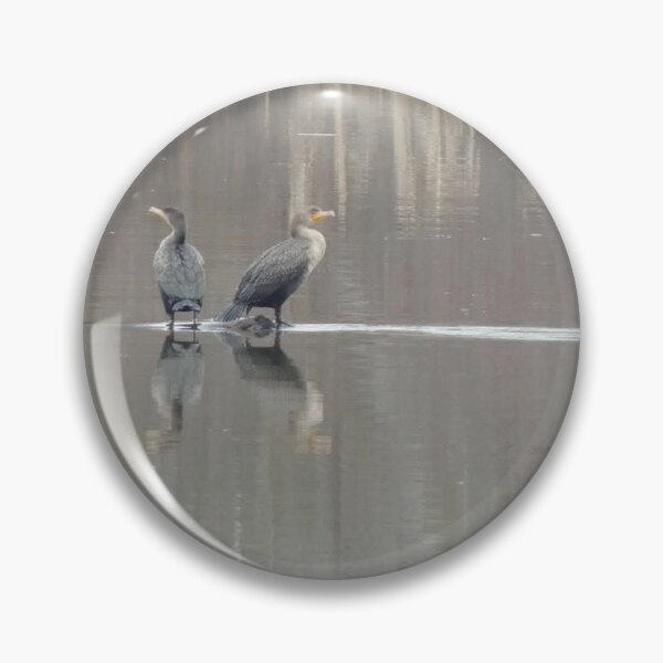 Item preview, Two Birds of a Feather designed and sold by PhotosByJennH.