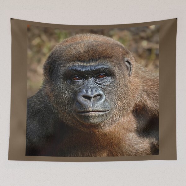 Item preview, Thoughtful Gorilla in Natural Habitat designed and sold by Savannah Gibbs.