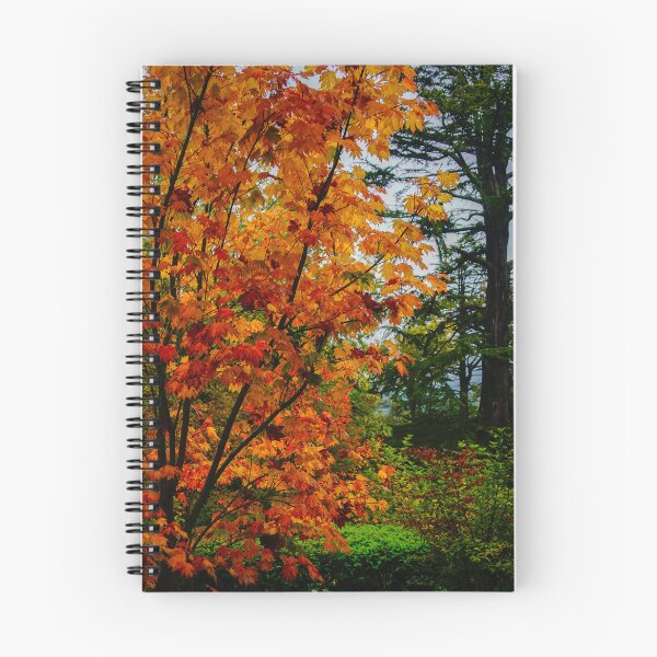 Item preview, Autumn Colours  designed and sold by D-GaP.