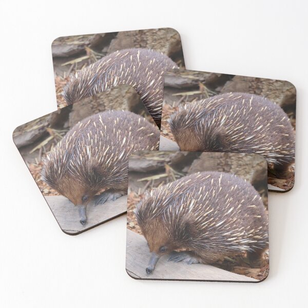 Item preview, Echidna designed and sold by daverach1.