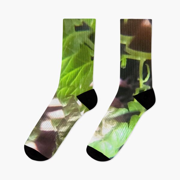 Item preview, The Chlorophyll Code: Vitality Shift designed and sold by ElionSolis.