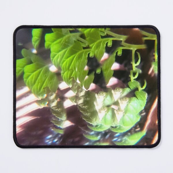 Item preview, The Chlorophyll Code: Vitality Shift designed and sold by ElionSolis.