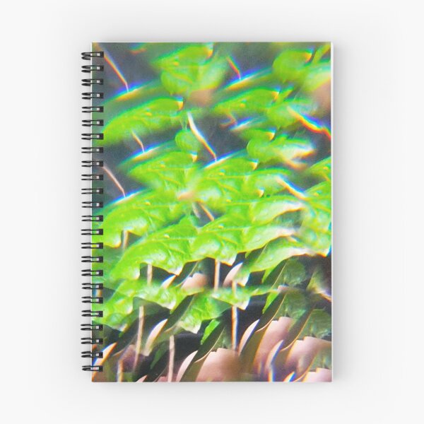 Item preview, The Emerald Sanctuary: Prismatic Roots designed and sold by ElionSolis.